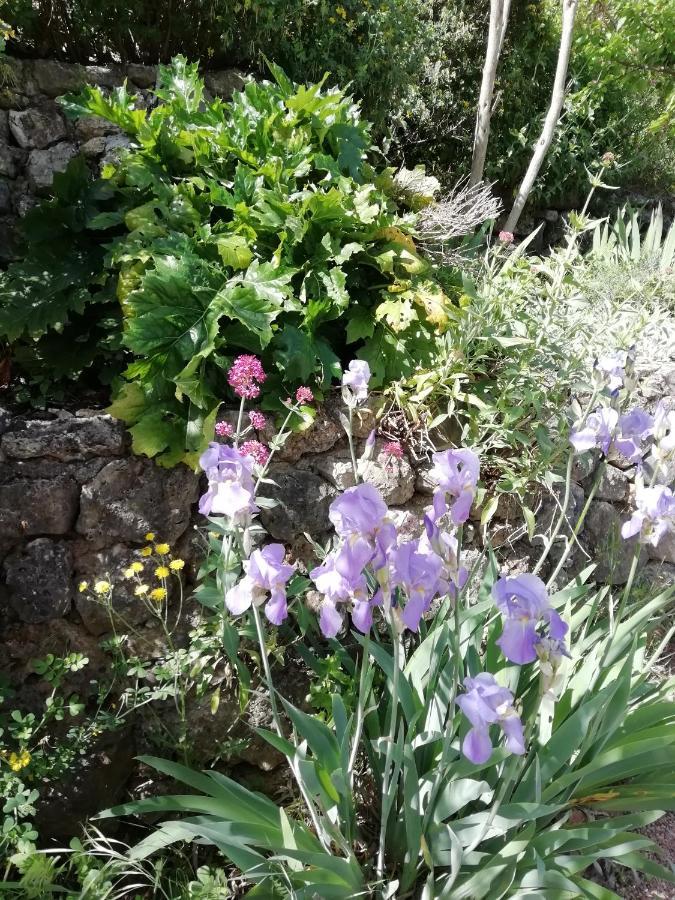 Les Arcs-sur-Argens Chambre D'Hote Le Mas Des Romarins מראה חיצוני תמונה